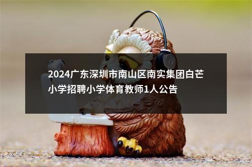 2024广东深圳市南山区南实集团白芒小学招聘小学体育教师1人公告 图片
